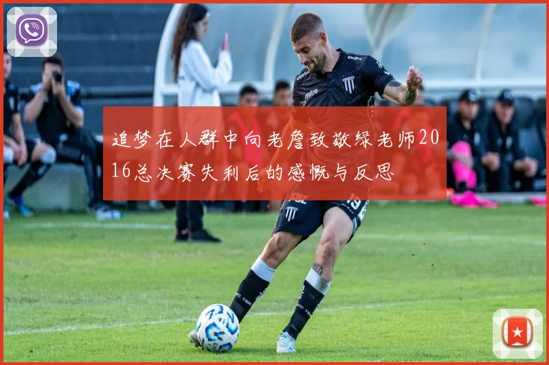追梦在人群中向老詹致敬绿老师2016总决赛失利后的感慨与反思