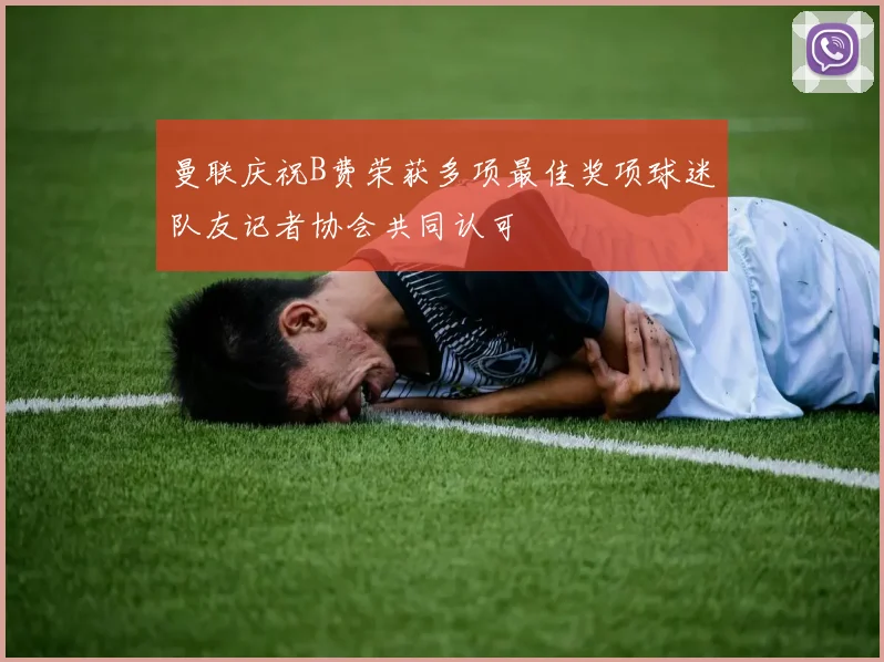 曼联庆祝B费荣获多项最佳奖项球迷队友记者协会共同认可