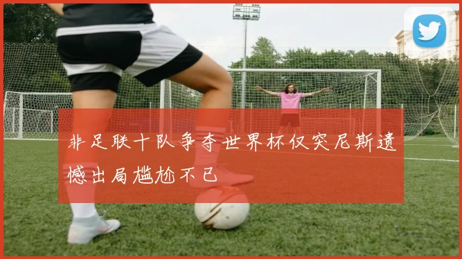 非足联十队争夺世界杯仅突尼斯遗憾出局尴尬不已